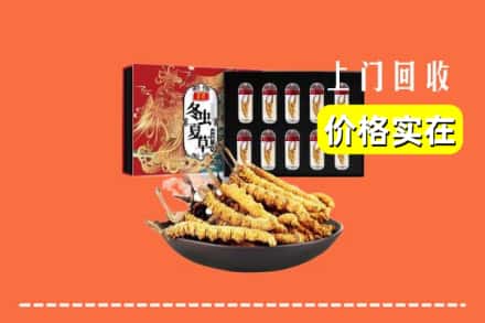 台前县回收冬虫夏草